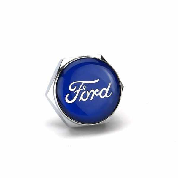 Ford Blue Logo Silver License Plate Bolts